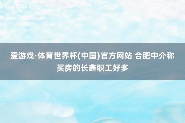 爱游戏·体育世界杯(中国)官方网站 合肥中介称买房的长鑫职工好多