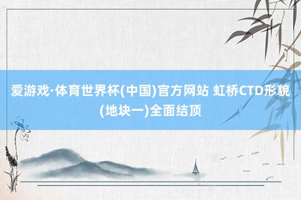 爱游戏·体育世界杯(中国)官方网站 虹桥CTD形貌(地块一)全面结顶