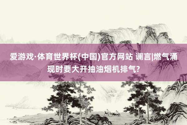 爱游戏·体育世界杯(中国)官方网站 谰言|燃气涌现时要大开抽油烟机排气?
