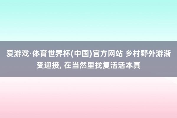爱游戏·体育世界杯(中国)官方网站 乡村野外游渐受迎接， 在当然里找复活活本真