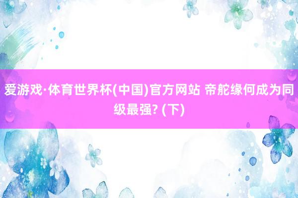 爱游戏·体育世界杯(中国)官方网站 帝舵缘何成为同级最强? (下)