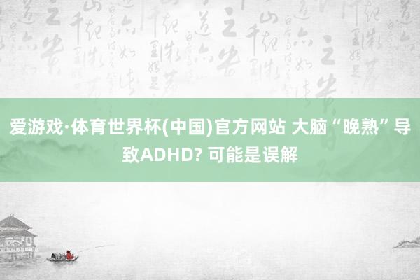 爱游戏·体育世界杯(中国)官方网站 大脑“晚熟”导致ADHD? 可能是误解