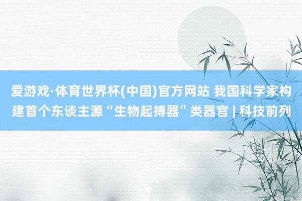 爱游戏·体育世界杯(中国)官方网站 我国科学家构建首个东谈主源“生物起搏器”类器官 | 科技前列