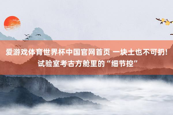 爱游戏体育世界杯中国官网首页 一块土也不可扔! 试验室考古方舱里的“细节控”
