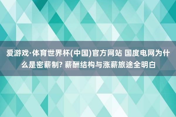 爱游戏·体育世界杯(中国)官方网站 国度电网为什么是密薪制? 薪酬结构与涨薪旅途全明白