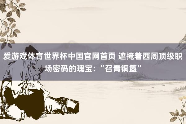 爱游戏体育世界杯中国官网首页 遮掩着西周顶级职场密码的瑰宝: “召青铜簋”