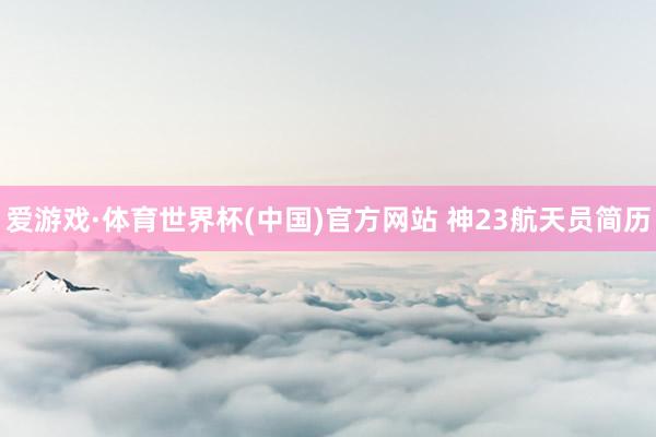 爱游戏·体育世界杯(中国)官方网站 神23航天员简历