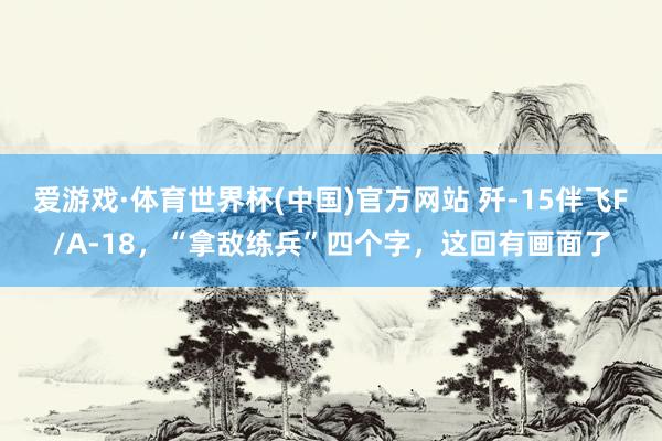 爱游戏·体育世界杯(中国)官方网站 歼-15伴飞F/A-18,“拿敌练兵”四个字,这回有画面了