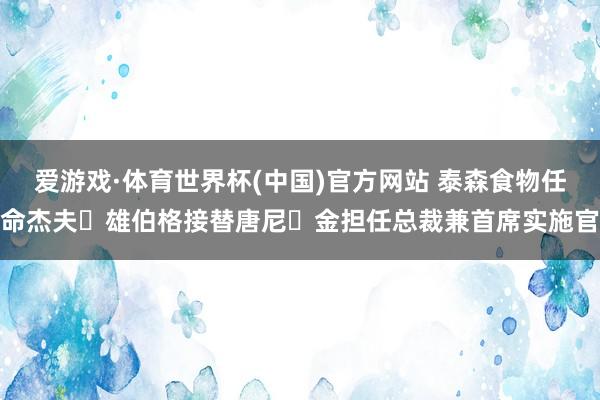 爱游戏·体育世界杯(中国)官方网站 泰森食物任命杰夫・雄伯格接替唐尼・金担任总裁兼首席实施官