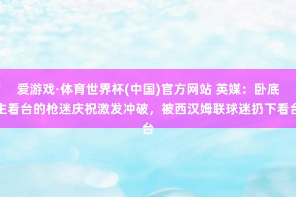 爱游戏·体育世界杯(中国)官方网站 英媒:卧底主看台的枪迷庆祝激发冲破,被西汉姆联球迷扔下看台