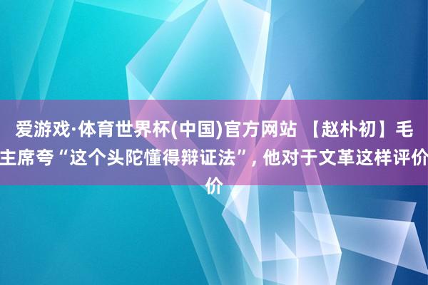 爱游戏·体育世界杯(中国)官方网站 【赵朴初】毛主席夸“这个头陀懂得辩证法”, 他对于文革这样评价