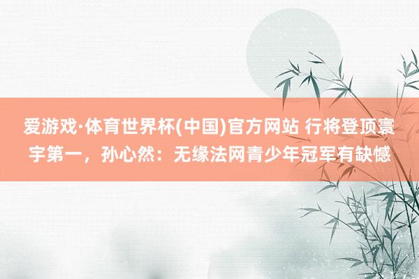 爱游戏·体育世界杯(中国)官方网站 行将登顶寰宇第一,孙心然:无缘法网青少年冠军有缺憾