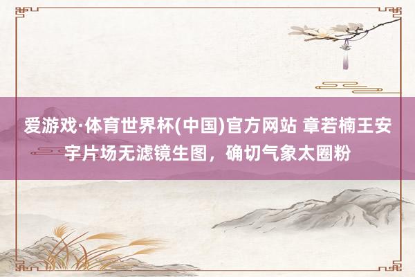 爱游戏·体育世界杯(中国)官方网站 章若楠王安宇片场无滤镜生图,确切气象太圈粉