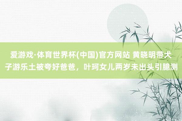 爱游戏·体育世界杯(中国)官方网站 黄晓明带犬子游乐土被夸好爸爸,叶珂女儿两岁未出头引臆测