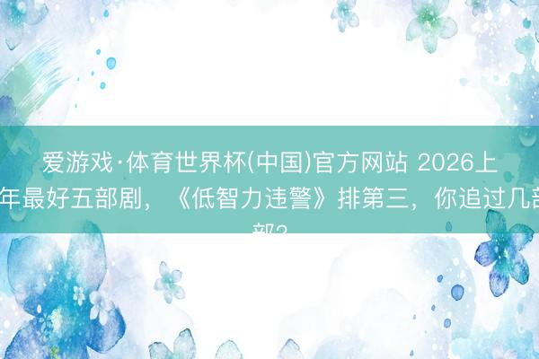 爱游戏·体育世界杯(中国)官方网站 2026上半年最好五部剧,《低智力违警》排第三,你追过几部?