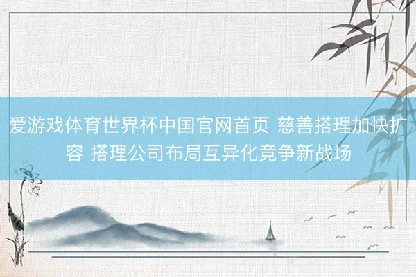 爱游戏体育世界杯中国官网首页 慈善搭理加快扩容 搭理公司布局互异化竞争新战场