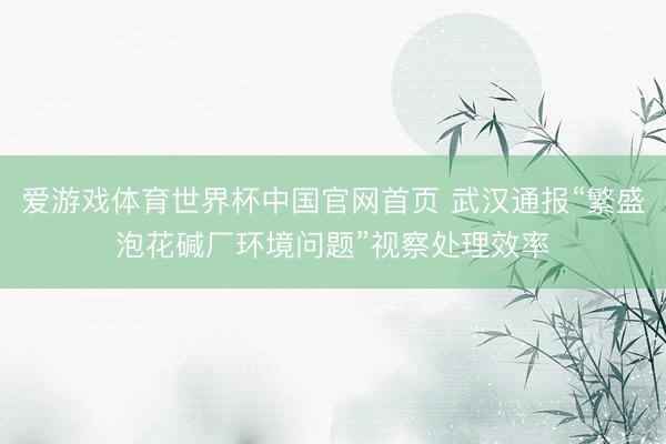 爱游戏体育世界杯中国官网首页 武汉通报“繁盛泡花碱厂环境问题”视察处理效率