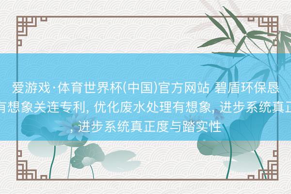 爱游戏·体育世界杯(中国)官方网站 碧盾环保恳求废水处理有想象关连专利， 优化废水处理有想象， 进步系统真正度与踏实性