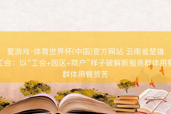 爱游戏·体育世界杯(中国)官方网站 云南省楚雄市总工会：以“工会+园区+商户”样子破解新服务群体用餐贫苦