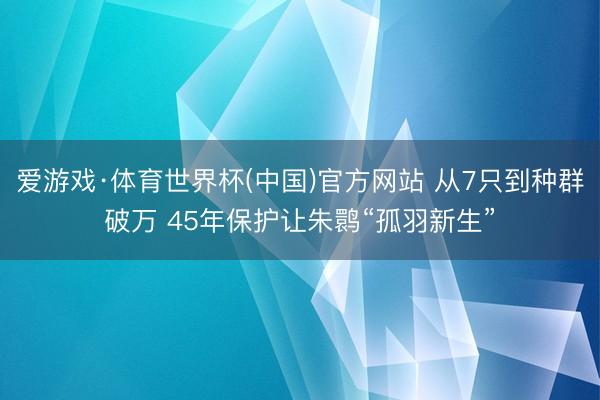 爱游戏·体育世界杯(中国)官方网站 从7只到种群破万 45年保护让朱鹮“孤羽新生”