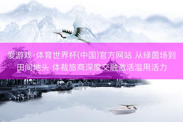 爱游戏·体育世界杯(中国)官方网站 从绿茵场到田间地头 体裁旅商深度交融激活滥用活力